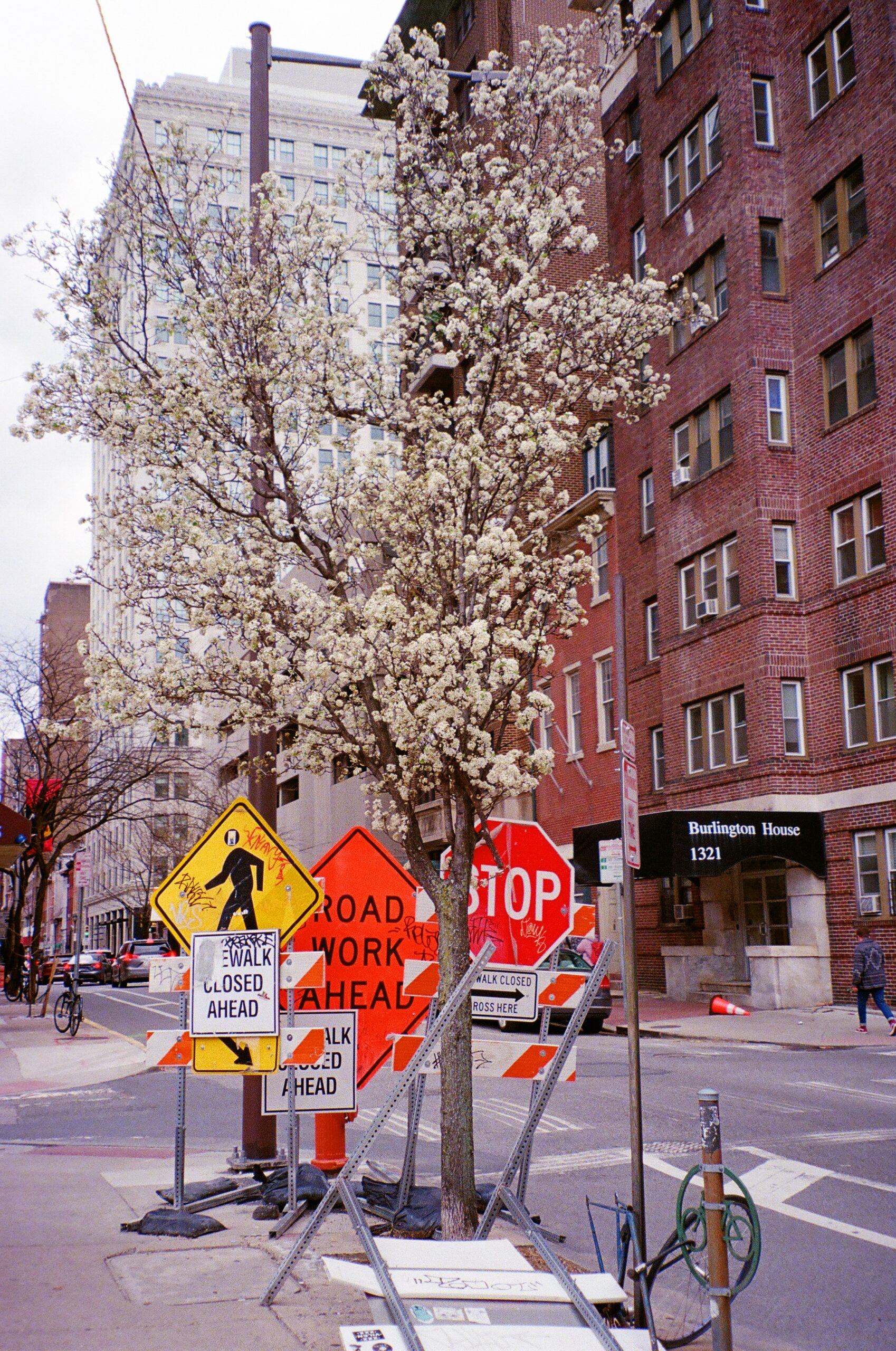 WebsitePhoto25