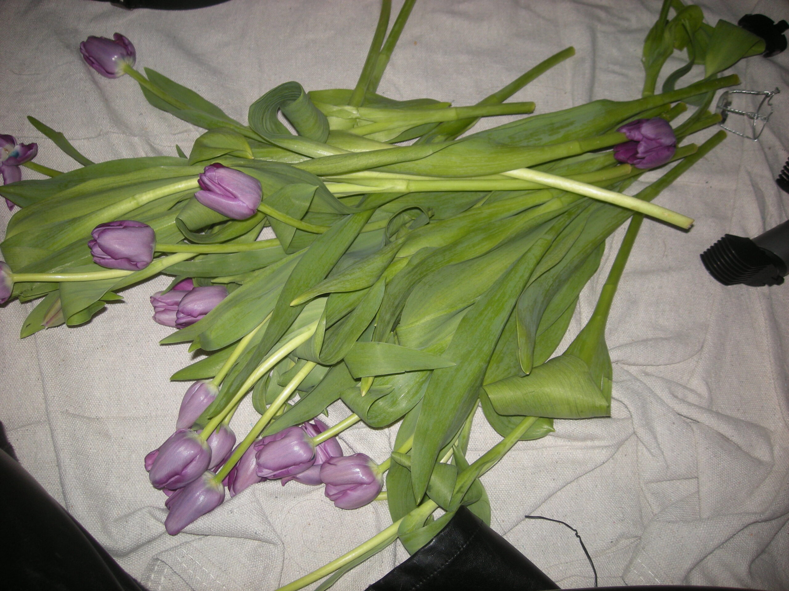 WebsitePhoto29