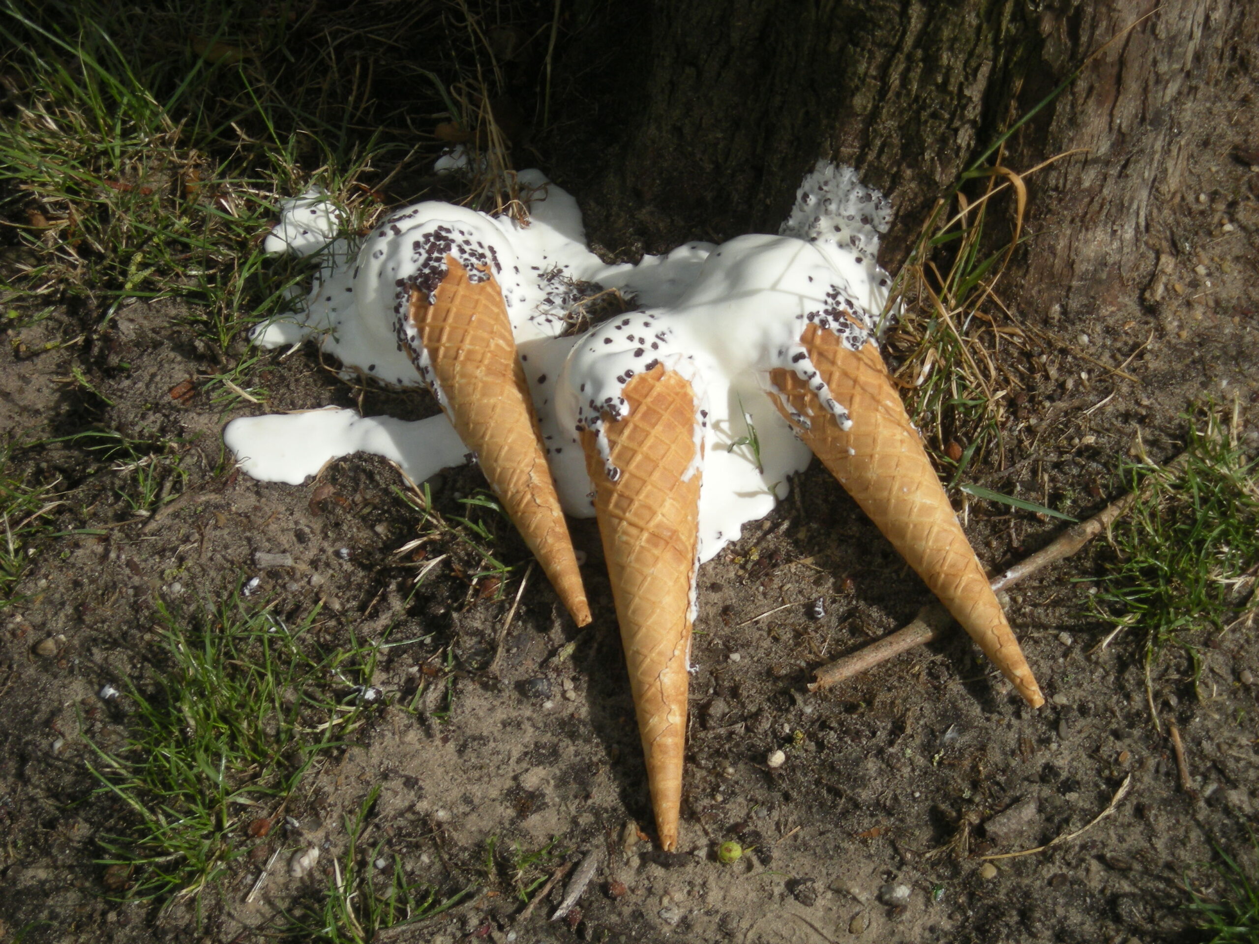 WebsitePhoto35
