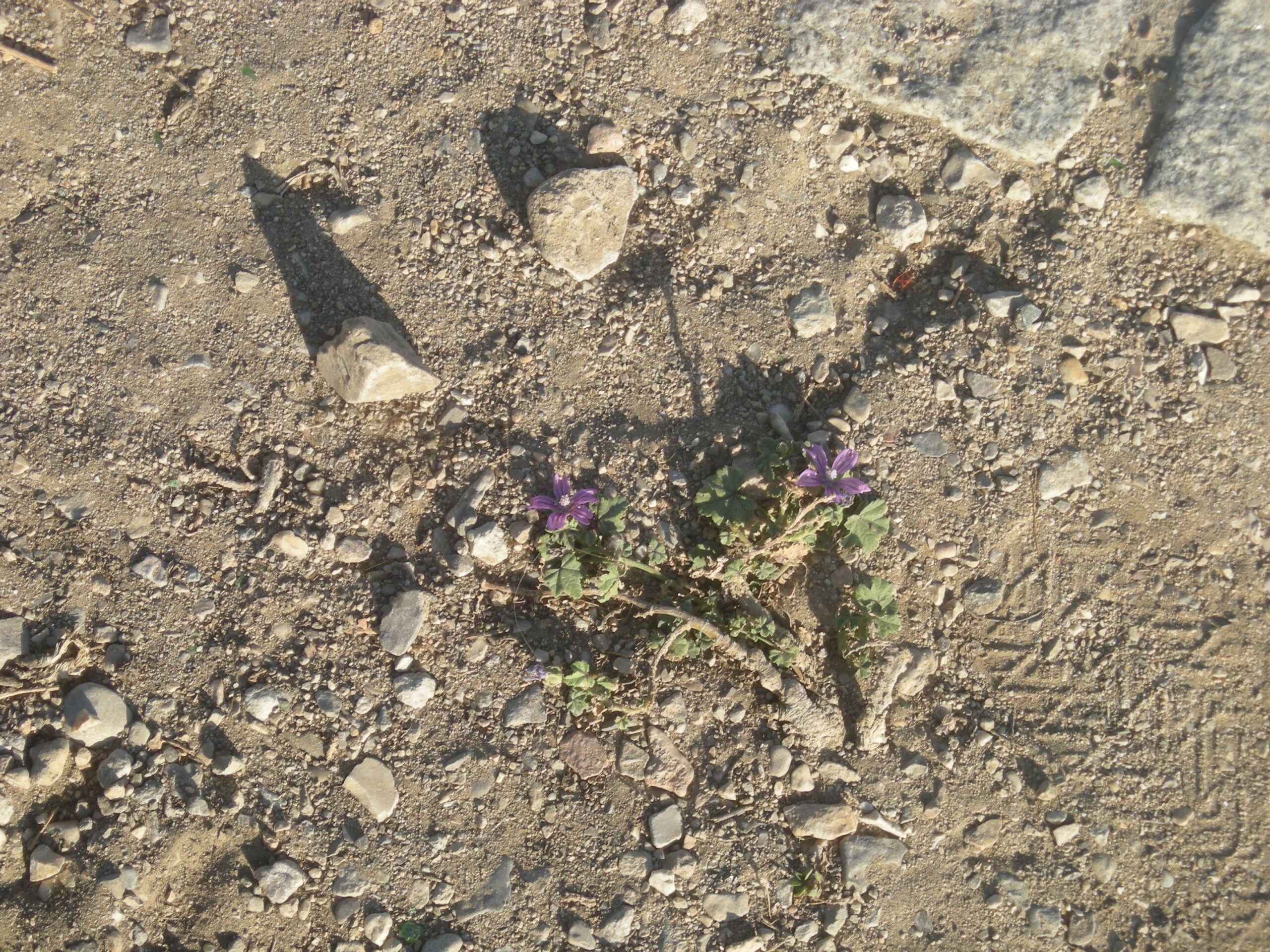 WebsitePhoto36