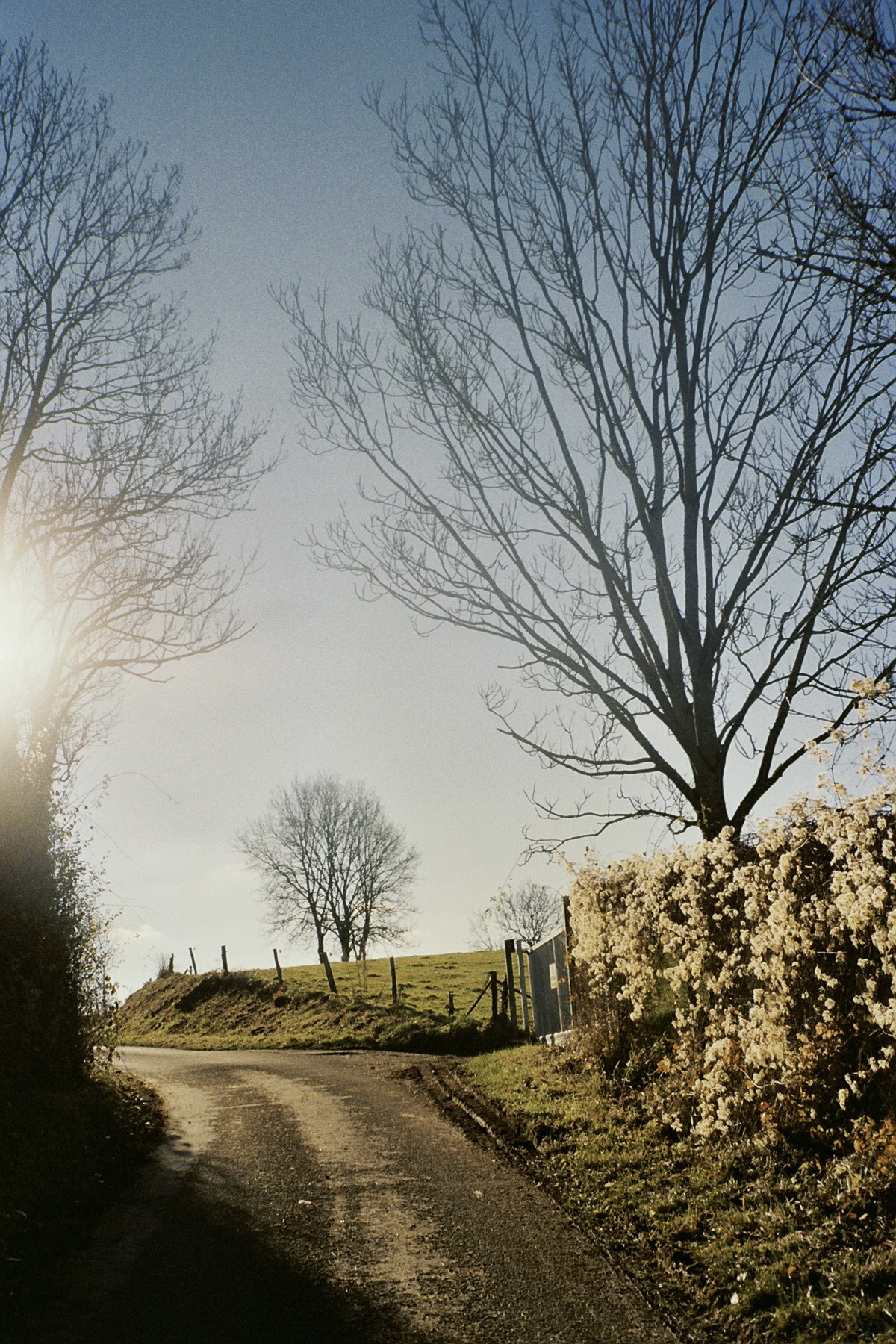 WebsitePhoto39