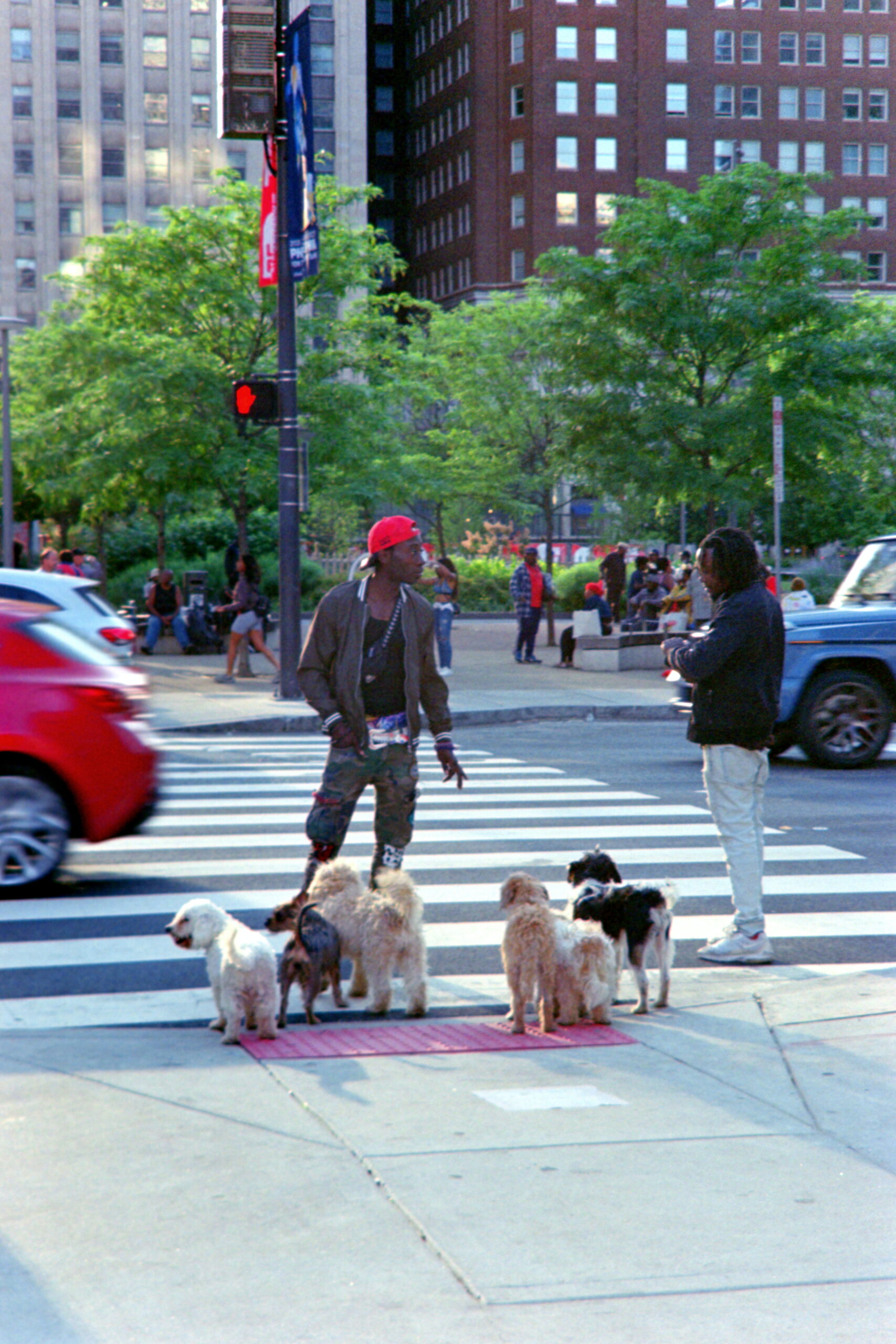 WebsitePhoto44