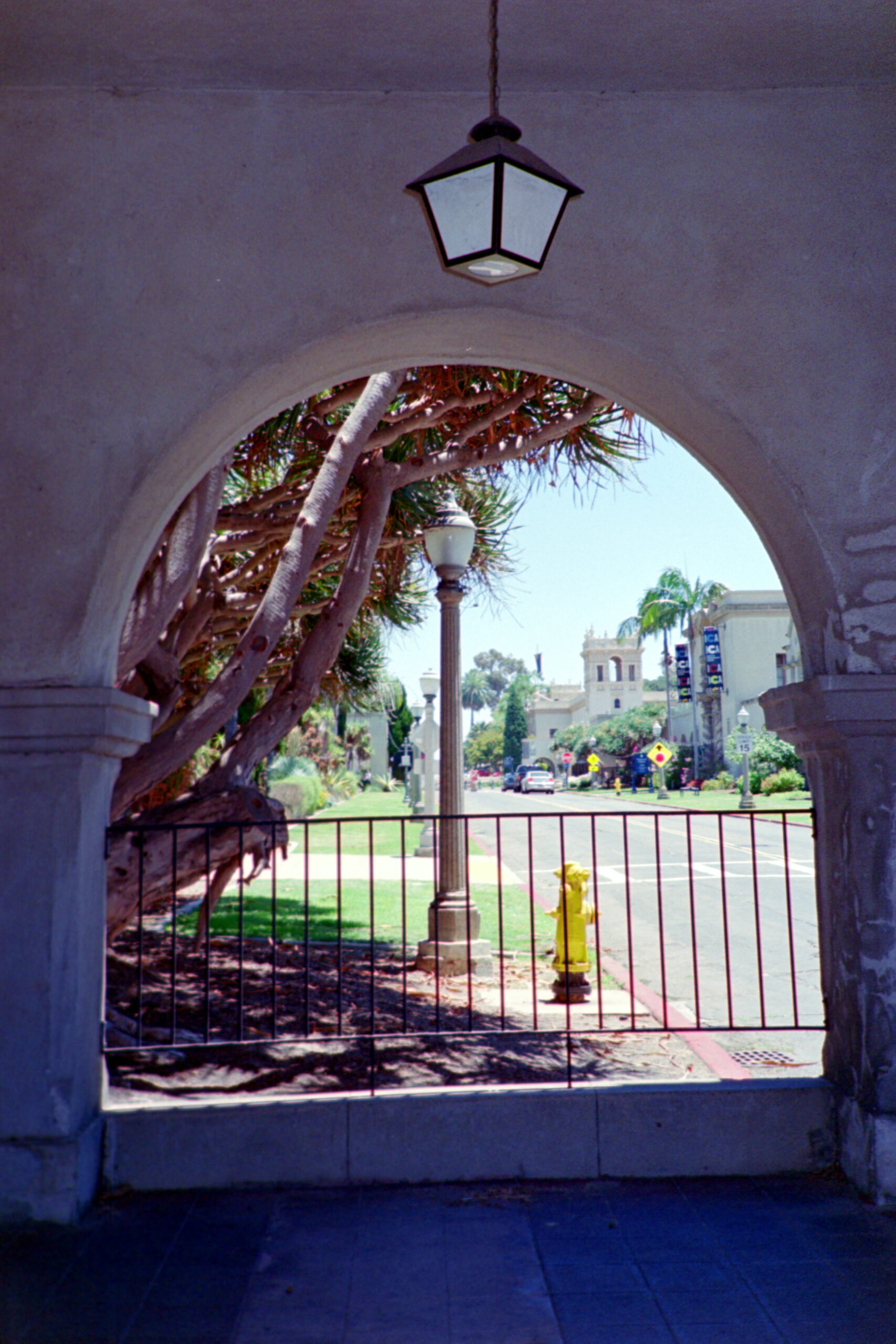 WebsitePhoto49