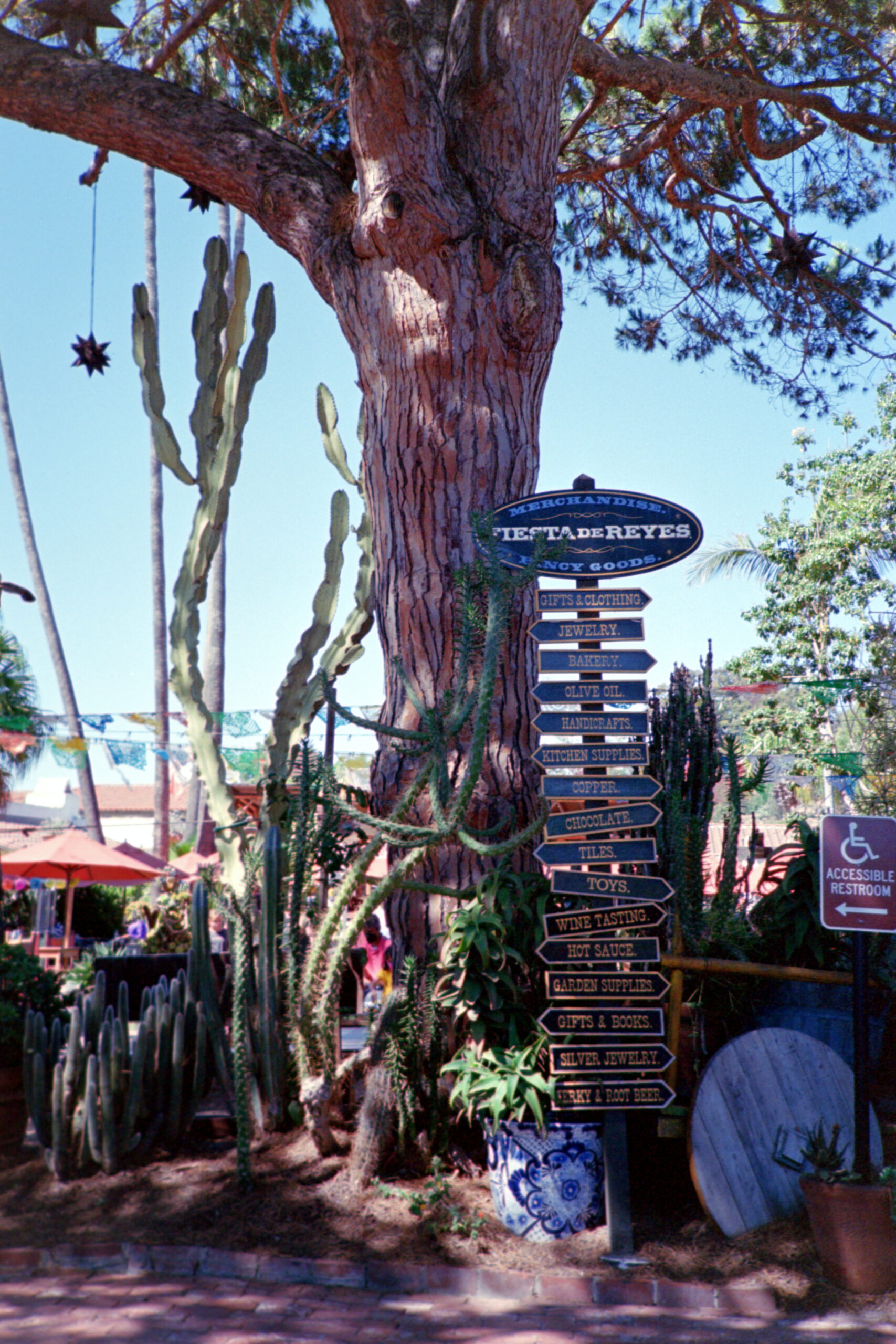 WebsitePhoto50