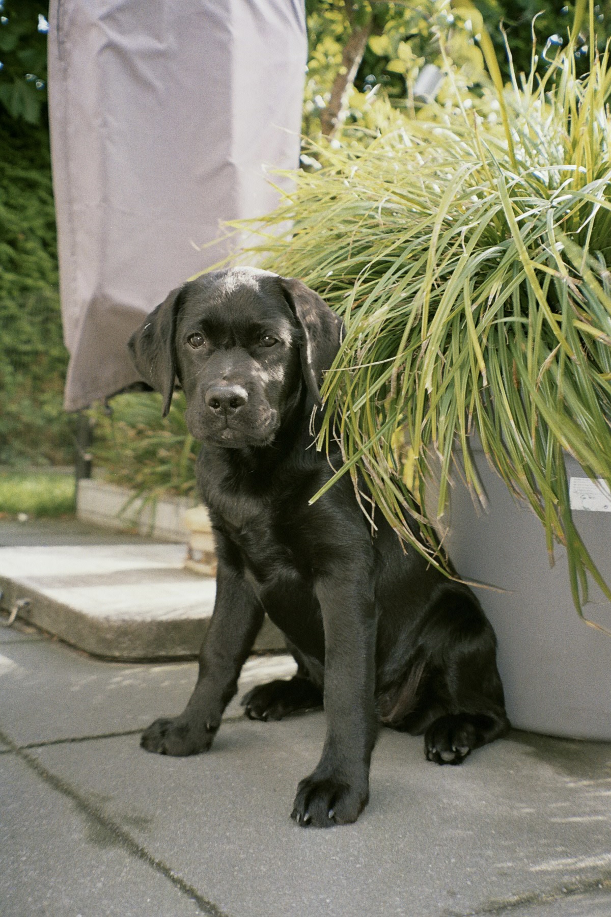 WebsitePhoto9